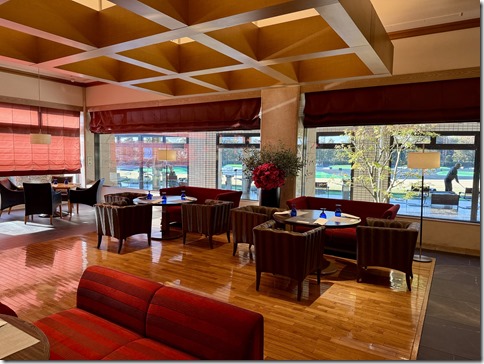 IMG_3374 - resized 2024-12-10 19-36-22