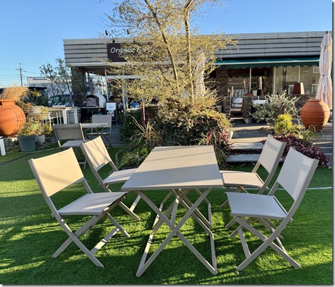 IMG_3395 - crop 2024-12-11 10-49-38 - resized 2024-12-11 10-50-00