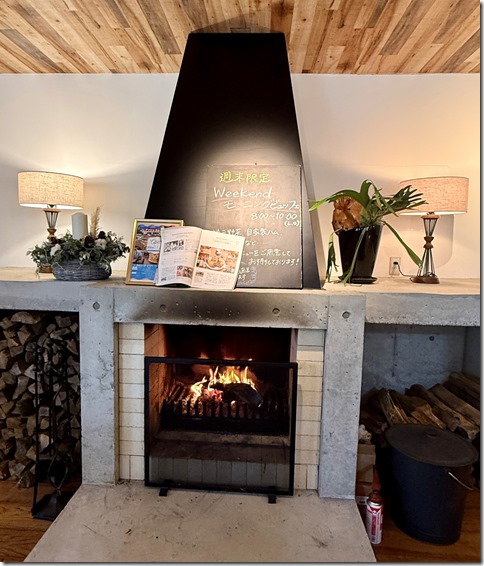 IMG_3471 - crop 2024-12-13 16-33-20 - resized 2024-12-13 16-33-53