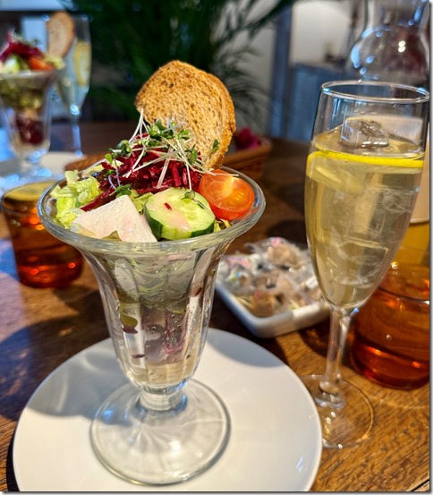 IMG_3511 - crop 2024-12-13 16-35-54