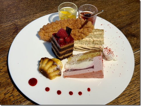 IMG_3528 - resized 2024-12-13 16-38-12