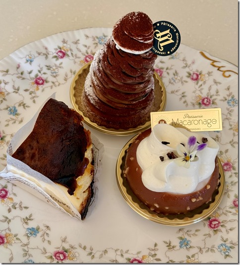 IMG_3800 - crop 2024-12-19 21-03-10