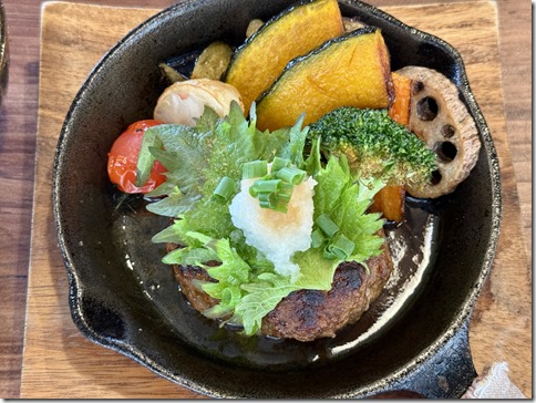 IMG_4137 - resized 2024-12-28 13-55-20