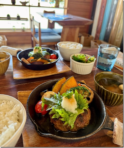 IMG_4140 - crop 2024-12-28 13-53-08 - resized 2024-12-28 13-53-42