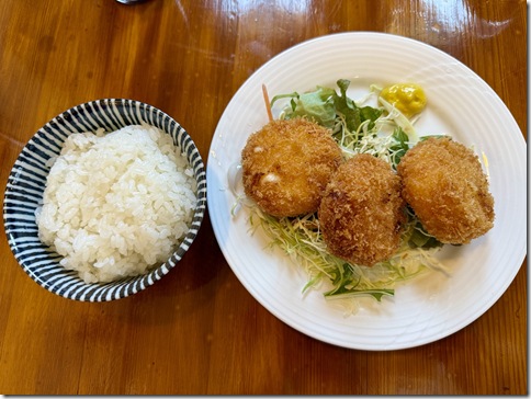 IMG_7264 - resized 2025-03-09 15-25-13