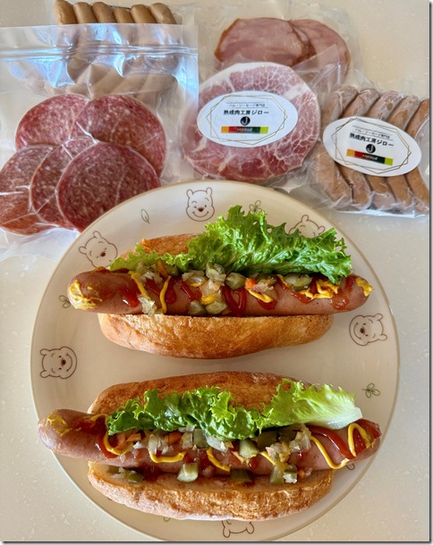 IMG_2699 - crop 2025-07-14 10-21-51 - resized 2025-07-14 10-22-25