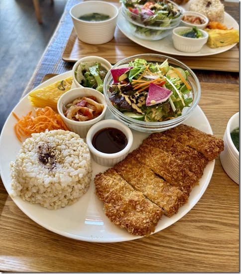 IMG_3021 - resized 2025-07-25 16-34-28