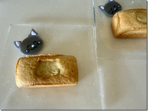 IMG_4999 - resized 2025-09-20 13-30-29