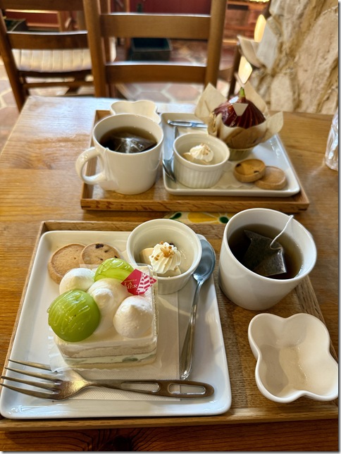 IMG_5276 - resized 2025-09-25 19-56-45