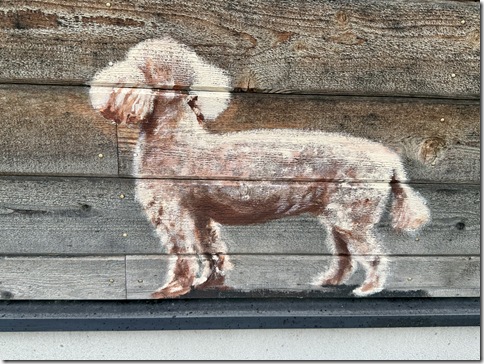 IMG_5947 - resized 2025-10-11 13-33-01