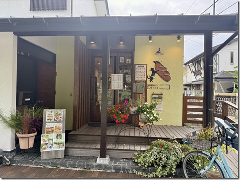 IMG_6715 - resized 2025-11-01 13-24-22