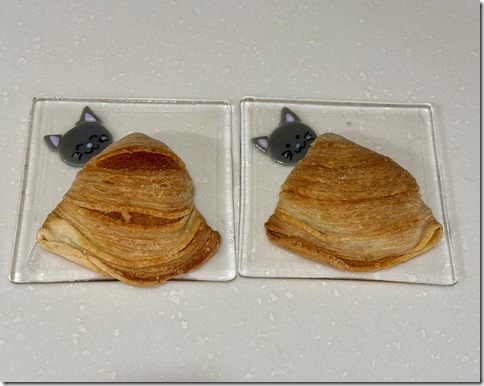 IMG_7238 - crop 2025-11-13 14-13-46 - resized 2025-11-13 14-14-04