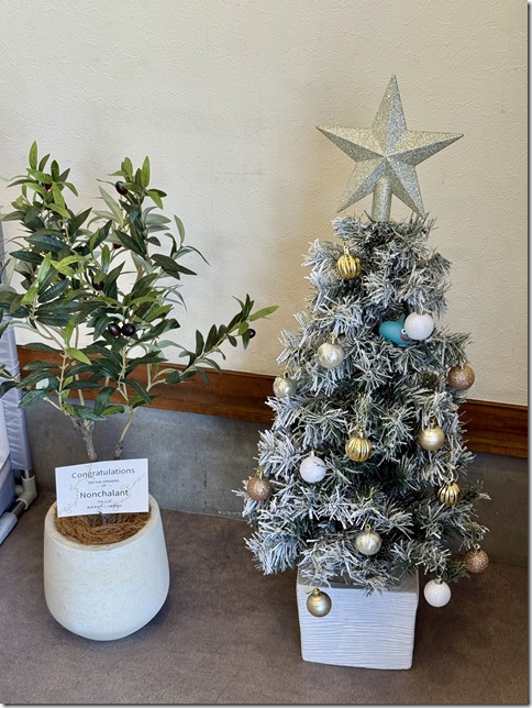 IMG_7526 - resized 2025-11-21 17-04-14