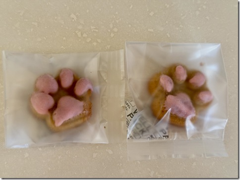 IMG_7535 - resized 2025-11-21 17-06-43