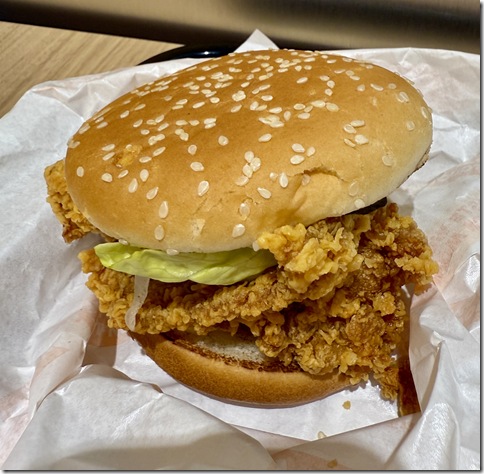 IMG_7738 - resized 2025-11-27 15-25-37