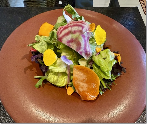 IMG_8008 - resized 2025-12-04 19-40-52