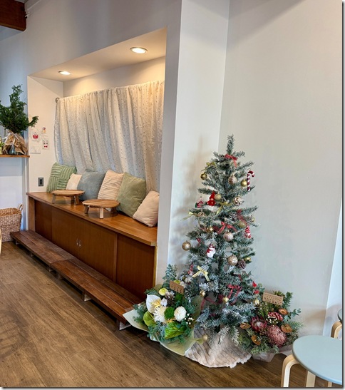 IMG_8143 - crop 2025-12-08 11-54-02 - resized 2025-12-08 11-54-31