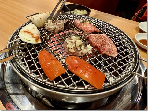 IMG_8232 - resized 2025-12-09 20-07-27