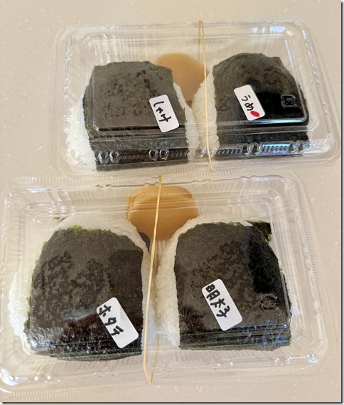 IMG_9291 - resized 2026-01-12 13-56-44